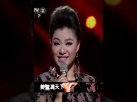 王丽达《芙蓉花》百里锦城香不断