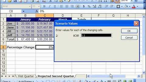 Excel 2003 Tutorial Editing & Deleting Scenarios Microsoft Training Lesson 31.2