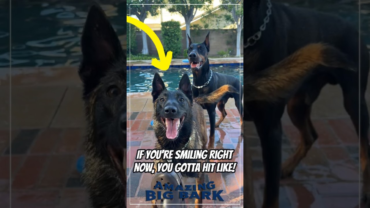 If You’re Smiling Right Now, You Gotta Hit Like!