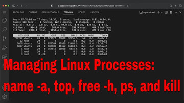 Managing Linux Processes: name -a, top, free -h, ps, and kill