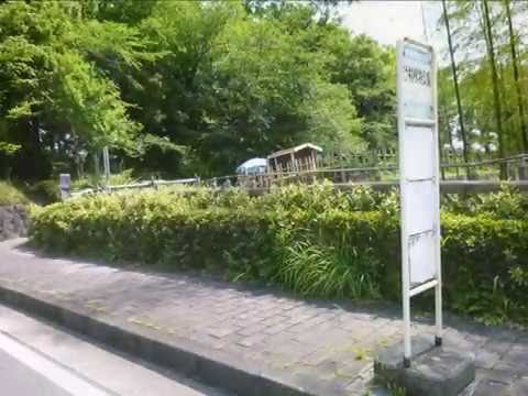 旅探 たびたん 辻村植物公園 小田原市 の周辺施設動画一覧