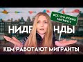 НИДЕРЛАНДЫ/ КЕМ РАБОТАЮТ МИГРАНТЫ. НИДЕРЛАНДЫ ВСЕ, ЧТО НУЖНО МИГРАНТУ