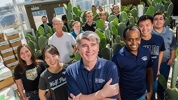 Prickly Pear Cactus - Research Program Overview