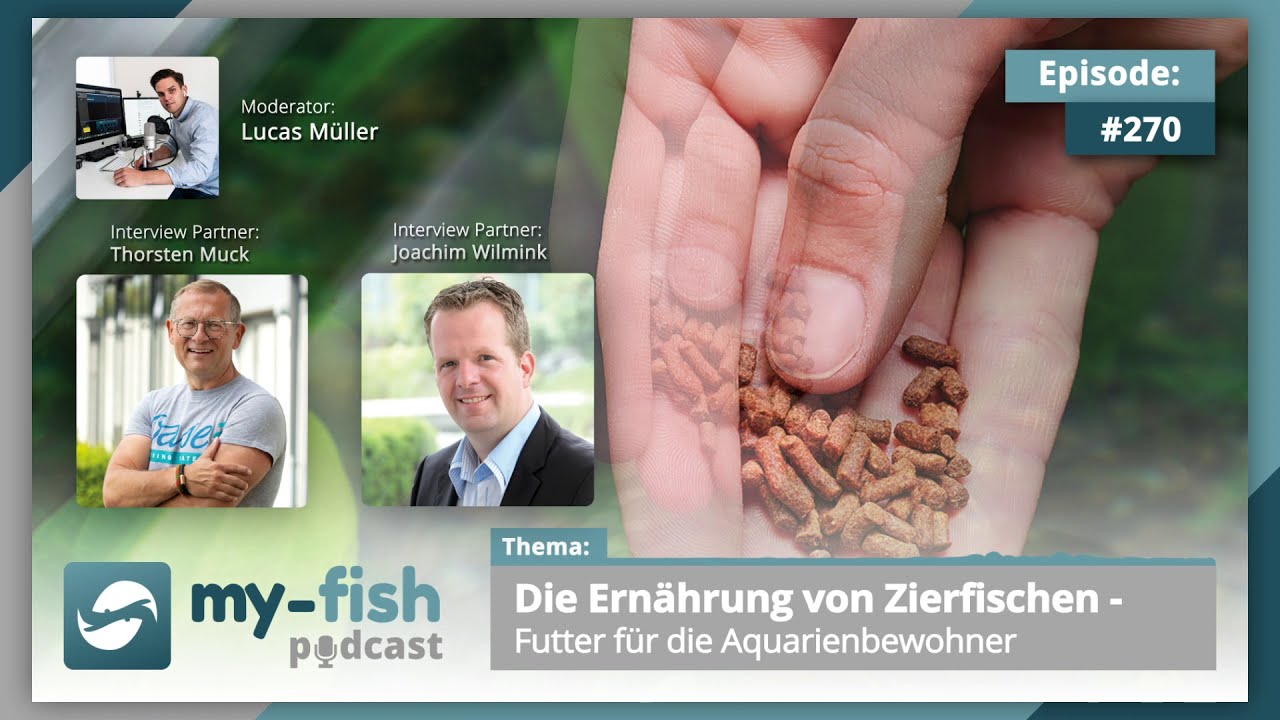 my-fish.org - Die Ernährung von Zierfischen - Futter für die Aquarienbewohner (T.Muck & J. Wilmink)