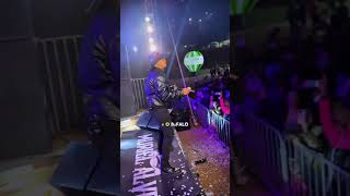 Murilo Alves Bufalo do Marajo O Sucesso do Momento