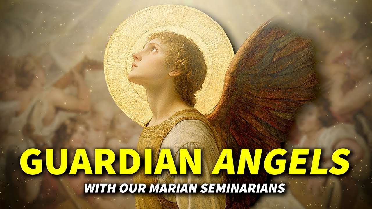 Ask a Marian | Marians of the Immaculate Conception