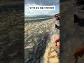 얼음 왕국 탐험: 숨 막히는 대자연의 경이로움 #shorts