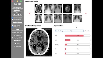 Software for Medical Visual Question Answering (Med-VQA)