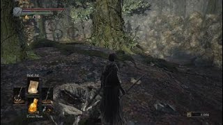 DS3 In A Nutshell