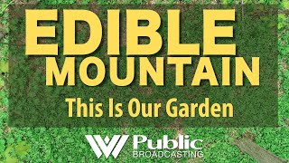 Edible Mountain: This is Our Garden