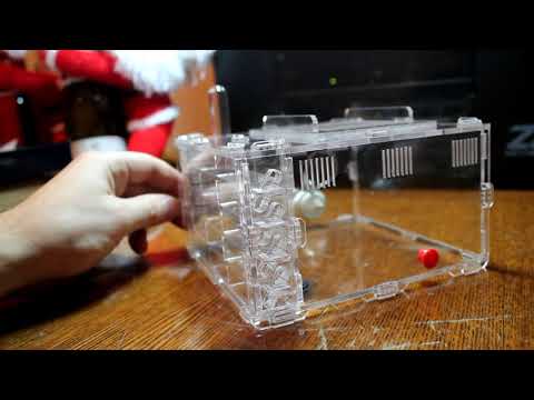 Муравьиная ферма Crystal