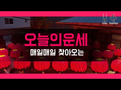 호랑이띠날 오늘의운세 12월20일(월) 타로운세 연애 애정운 금전운 길한색 길한방향 등