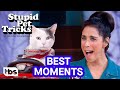 Best Moments From Stupid Pet Tricks (Mashup) | TBS