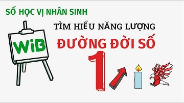 Đường đời số 1: Bạn có biết "Không ai đi trước họ – trừ chính họ." #thansohoc  #nhansohoc