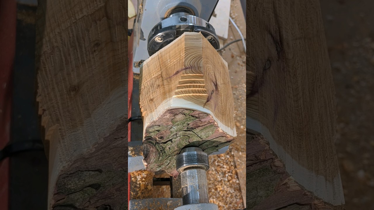 woodturning a blank yew cylinder 