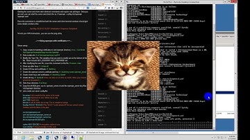 OpenVPN - Example setup from A-to-Z for a real company (results in TLS handshake failure)