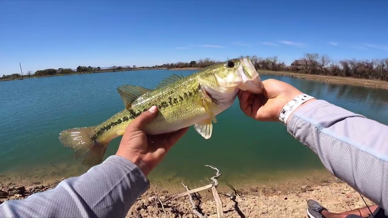 Bass fishing in Houston Tx