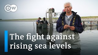Climate change in the Netherlands - Pioneering coastal management | DW Documentary