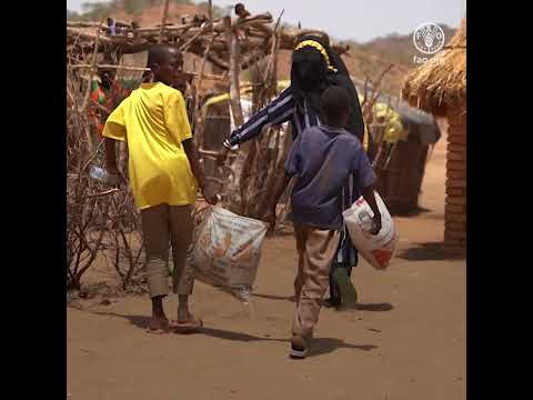 Fournir une assistance agricole et vitale au Tchad: l&rsquo;histoire de Khamisse