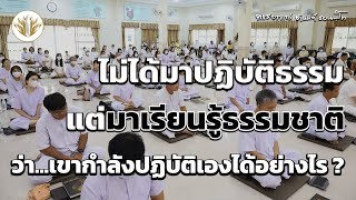 ไม่ได้มาปฏิบัติธรรม แต่มาเรียนรู้ธรรมชาติว่าเขากำลังปฏิบัติเองได้อย่างไร 12.08.2566