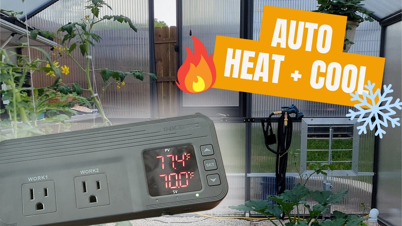 How to Set Up the Inkbird ITC-608T (Easy Instructions That Actually Make Sense)