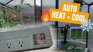 How To Set Up The Inkbird Itc-608T Easy Instructions That Actually Make Sense