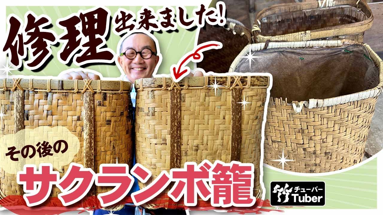 竹虎】その後はどうなった！？捨てられるはずだった、2個のサクランボ