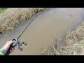 田んぼの脇の水路にスピナベ投げたらぶっ壊された。