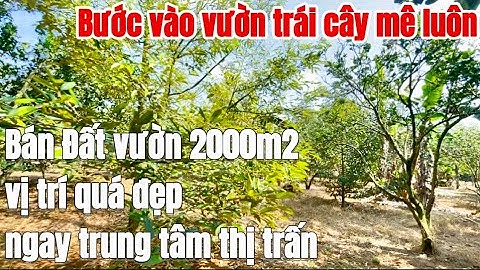 Cần vốn làm ăn! A Tuấn bán đất vườn 2000m2 viêw suối vườn trái cây vị trí đẹp ngay trung tâm. Ở BRVT