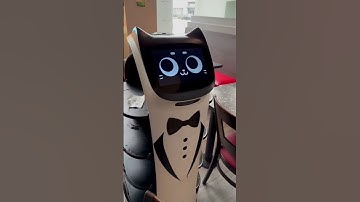 Robot Cat Waiter Welcome 🤖🤗 #robot #restaurant #ai #cat #losangeles