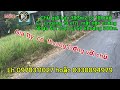 @@@ chủ gửi bán lô đất mặt tiền nhựa 5m cách ql50 khoảng 300m thuộc xã bình nhì gò công Tây tg