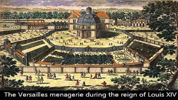 Test Video (Advanced Video Plugin)