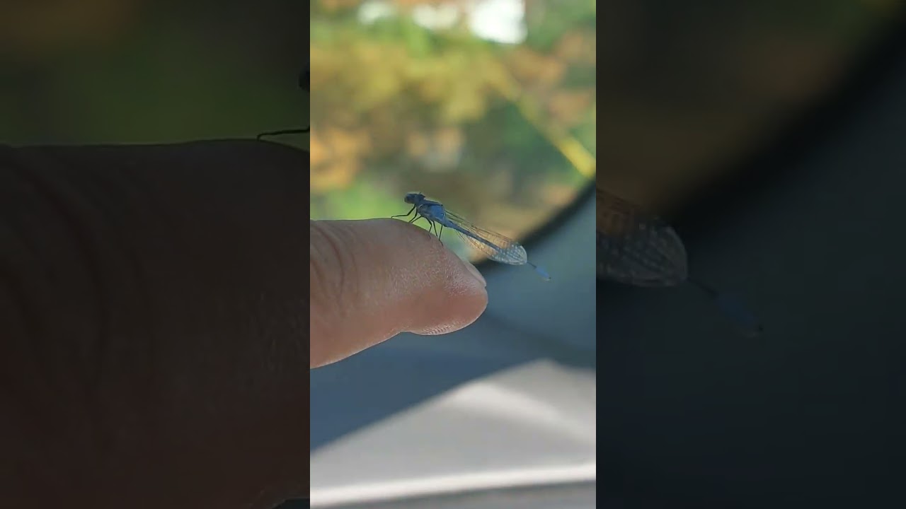 "Oh No! He Left Me! 😭 