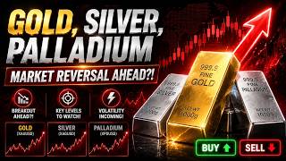 GOLD, SILVER & PALLADIUM | Daily Analysis: Deeper Prices Ahead or Reversal Starting Soon