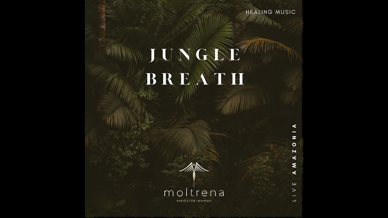 Music for deep relaxation, sleep and meditation | 8 hours pure sounds of the Jungle | Moltrena