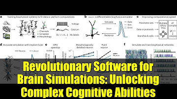 Revolutionary Software for Brain Simulations: Unlocking Complex Cognitive Abilities