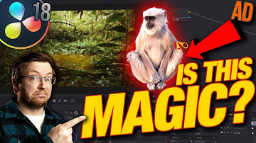 Magic Masking in Davinci Resolve 18 Studio is incredible! Full Tutorial and Examples!