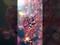 SAY MUHHAMAD рџ ќрџ ќрџ ќ Islamicfigure Love Tranding Like Subcribe SAY MUHHAMAD рџ ќрџ ќрџ ќ Islamicfigure Love Tranding Like Subcribe