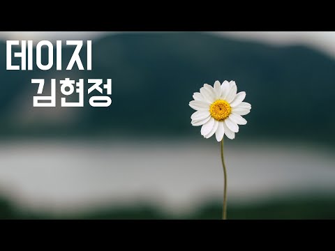 [댄스가수의 발라드 명곡] 데이지 - 김현정 (2002, 가사포함)