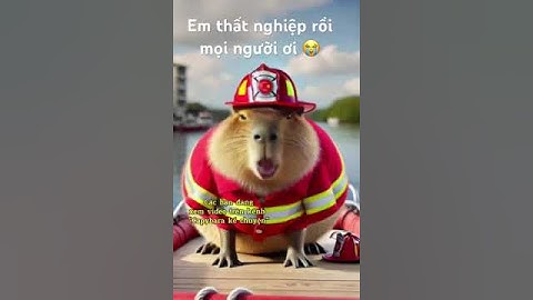 Capybara khóc vì bị thất nghiệp 😭😭😭ai thuê em về làm việc hông?? #shortsviral #funny #capybara