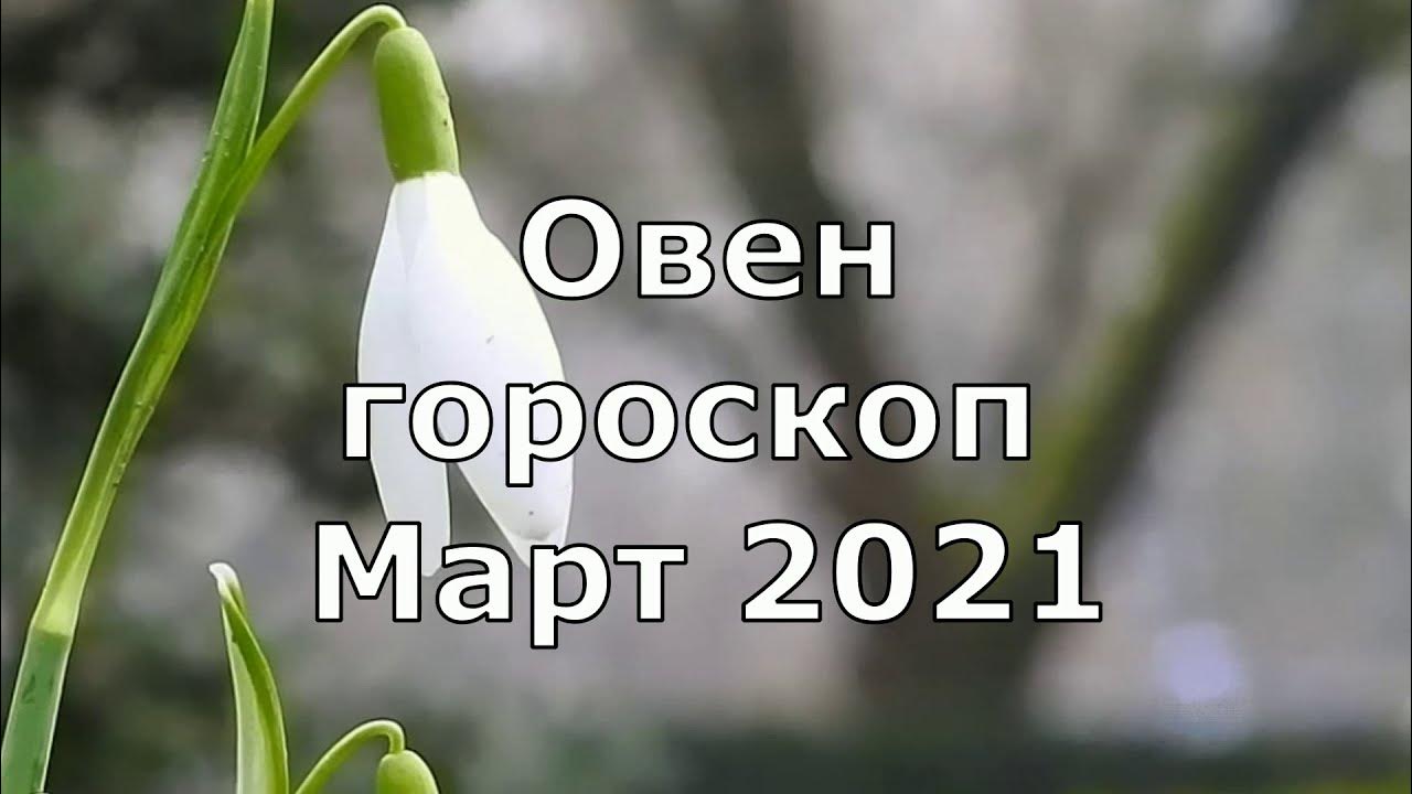 Что ждет овнов в марте 2024. Овен март.