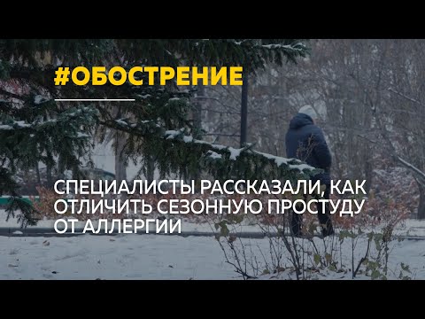 Аллергикам – приготовиться: идет сезон обострения заболеваний