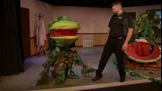 Audrey II - Puppet 3