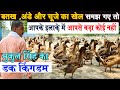 BIHAR के सबसे शानदार DUCK FARM से बतख,अंडे और चूजे का हिसाब - किताब सीखिए |#DUCKFARMING EGG & CHICKS