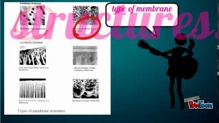 membrane separation powtoon