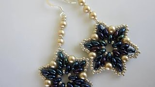 Beaded Earrings Twin Beads glass Pearl Seed Beads