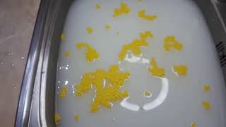 Whirlpool inside shell WHITE COLOR and YELLOW small balls