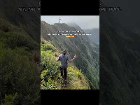 Hiking the Ka'au Crater Loop Trail!