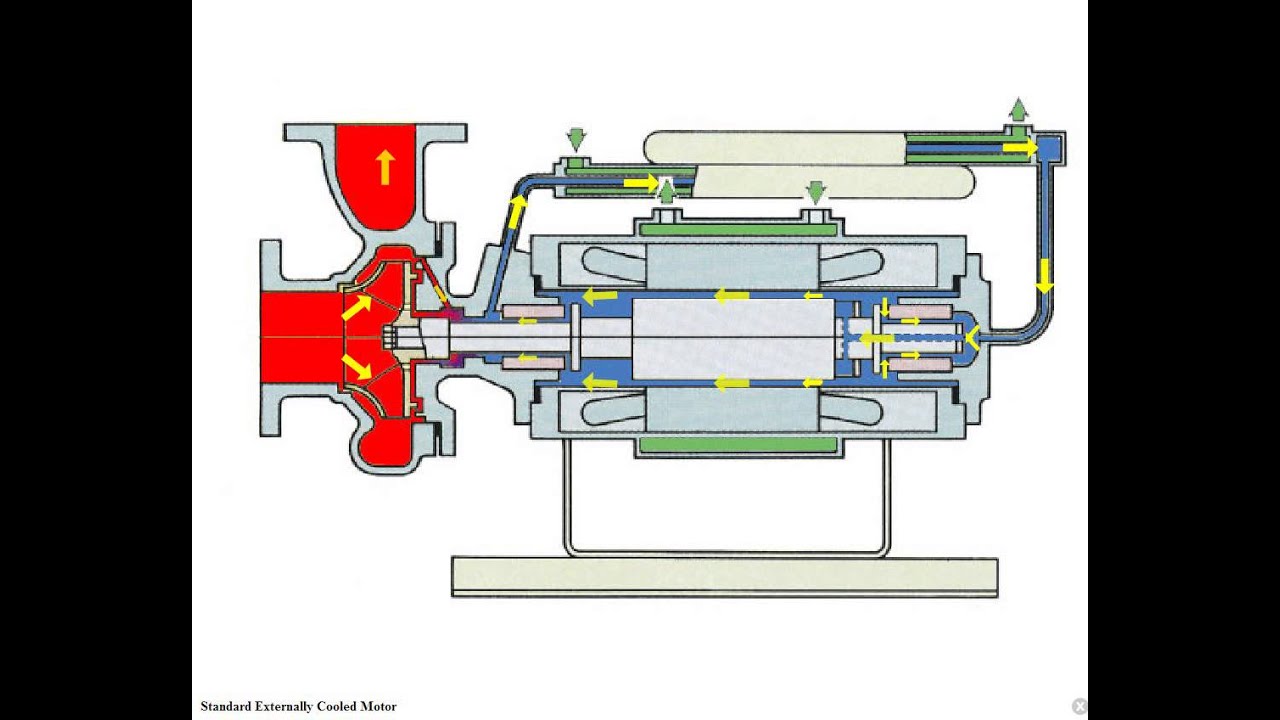 Насос бэн. Герметичный насос Бэн чертеж. Герметичный насос с экранированным двигателем. Герметический насос схема. Насос Teikoku Type.