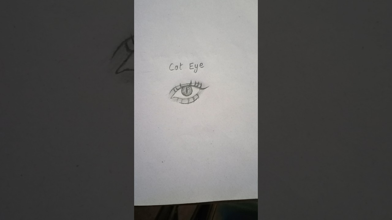 How to draw Cat Eye Tutorial 